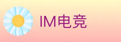 IM电竞 logo